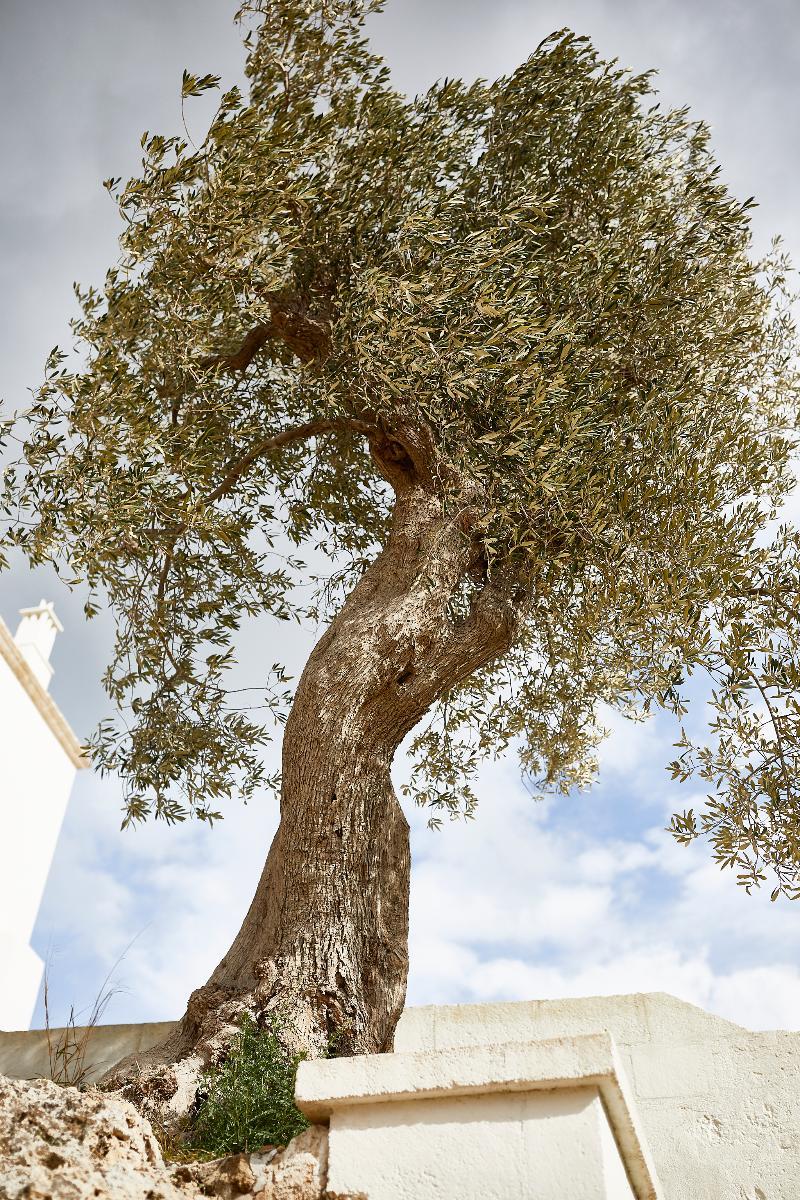 Masseria Calderisi Савеллетри Экстерьер фото